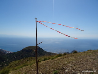 nte Venere-30-07-2020 10
